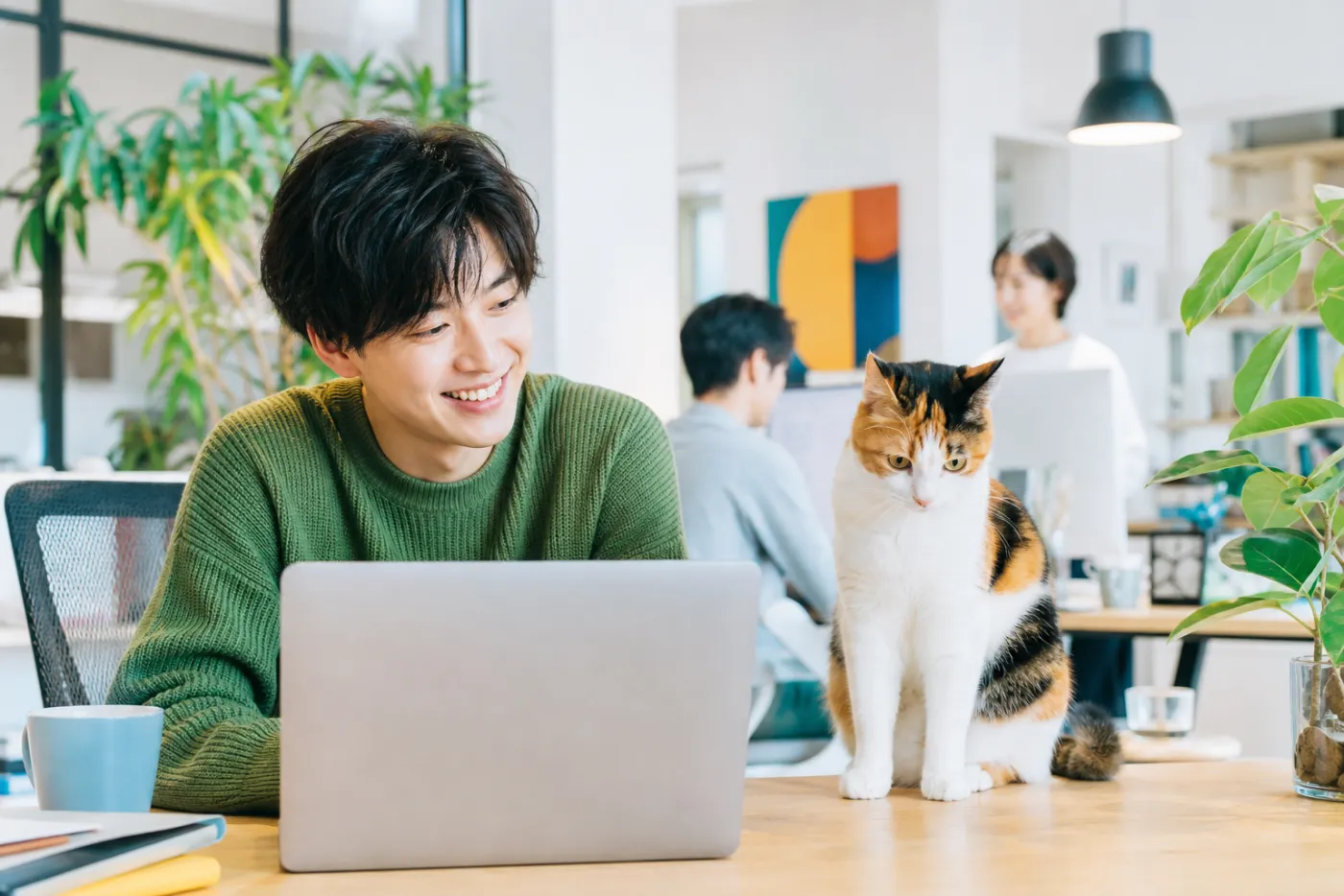 デスクでくつろぐオフィスの猫