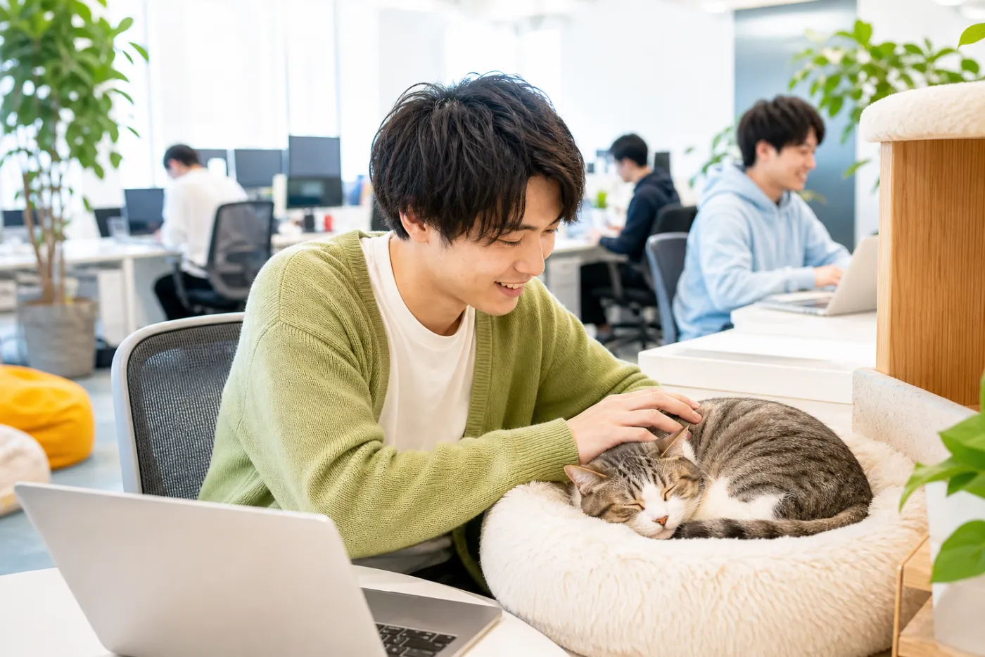 猫をなでるメンバー